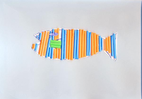 Fish Collage.jpg - Equal 4th Place - Fish Collage by Charlie Ellis